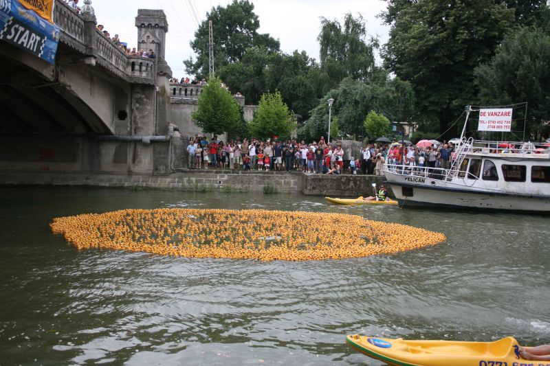 Cursă de viteză a rațelor pe Bega