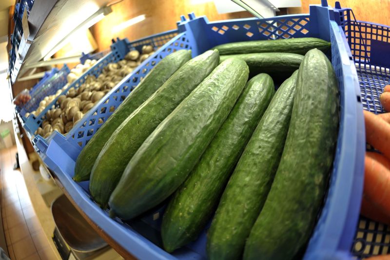 De teama epidemiei cu E.Coli, Rusia a interzis importurile de legume proaspete din UE