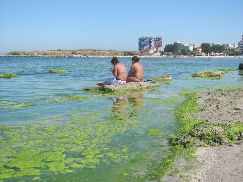 Peste 20.000 de turiști, pe litoral. Plajele sunt pline de alge | FOTO