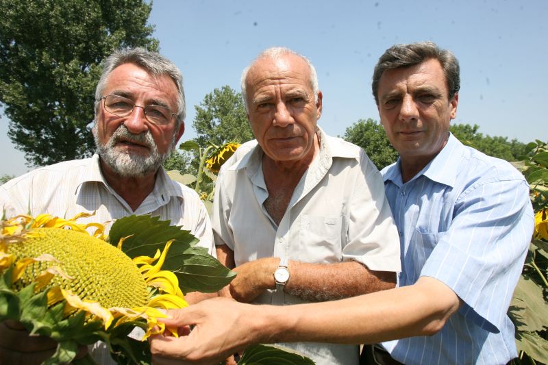 Cum scapă românii agricultura de sapa de lemn