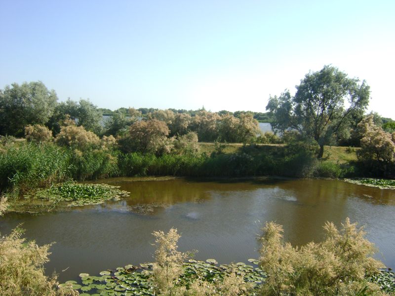 Delta Dunării: libertate, relaxare şi pescuit