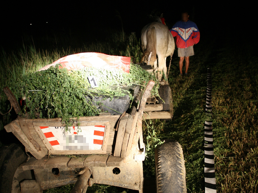 La Botoșani, fânul se schimbă cu țigări de contrabandă | VIDEO