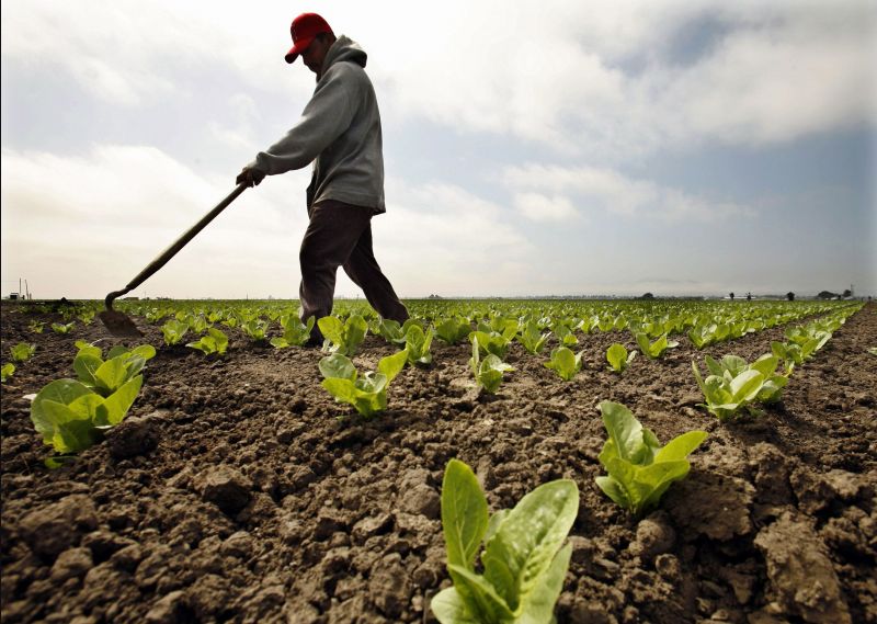 Statul vrea menținerea interdicției pentru străni de a cumpăra teren agricol în România până în 2017