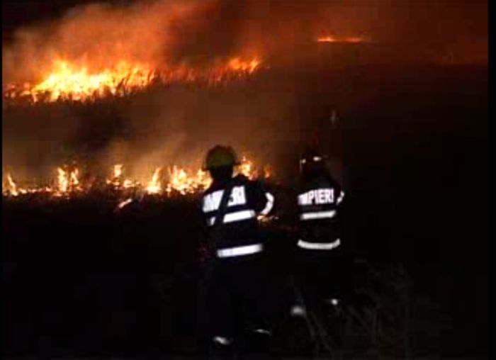 Incendiu în Deltă. 200 de hectare de vegetaţie, distruse | VIDEO