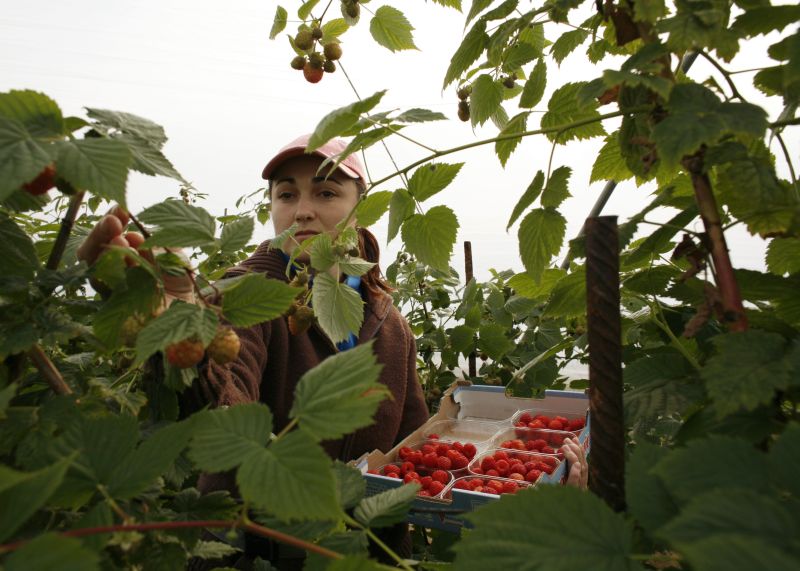 Ce românii vor avea nevoie de permis de muncă în Spania