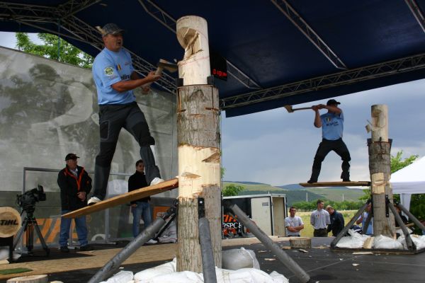 Românii taie lemne la campionatul mondial