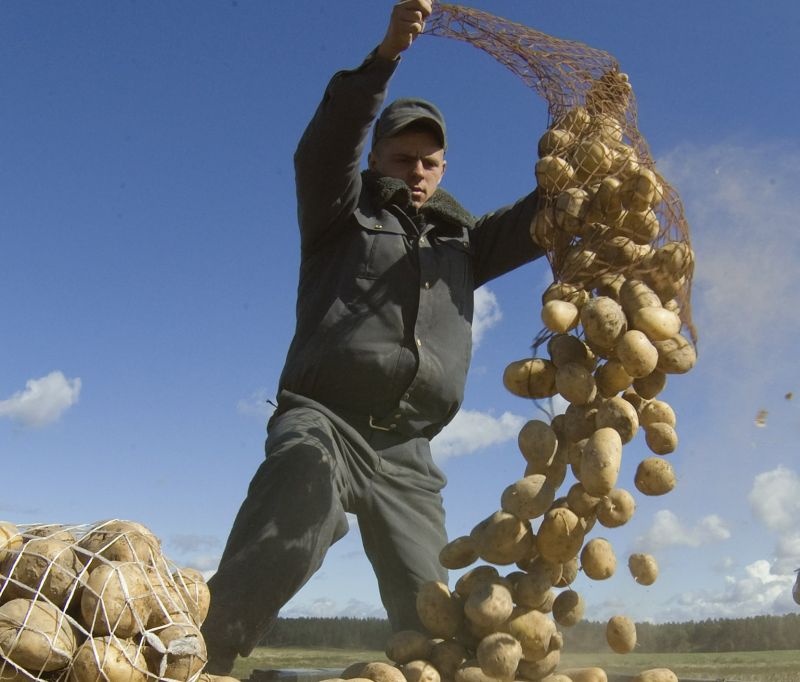 Agricultorii români vor primi trei miliarde de euro în plus