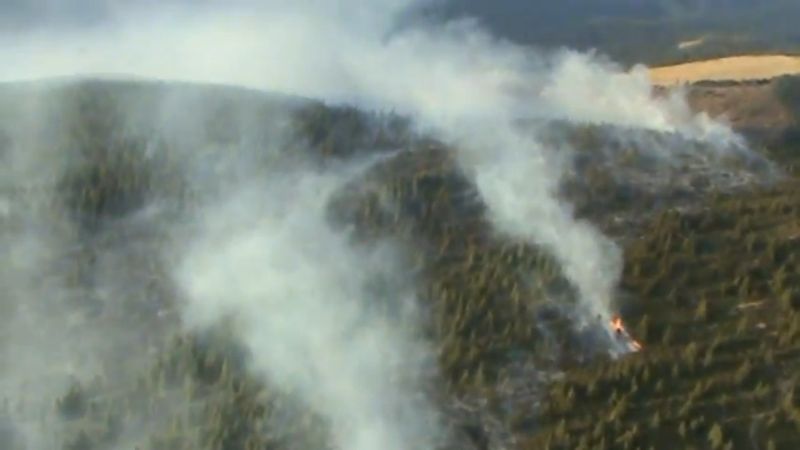 Transalpina, în flăcări: peste 60 de hectare de vegetaţie au fost mistuite