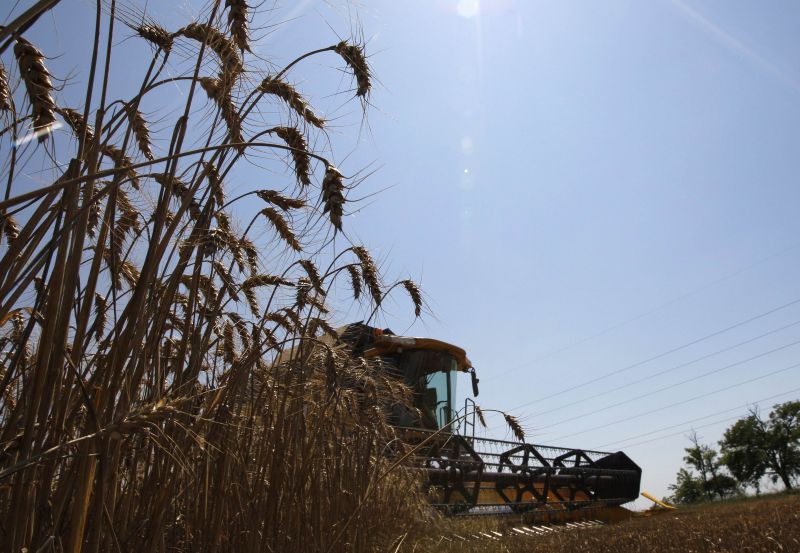 Agricultura se transformă din Cenuşăreasă în zână