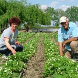 Câţi români au plecat în Europa. AFLĂ cifrele exacte