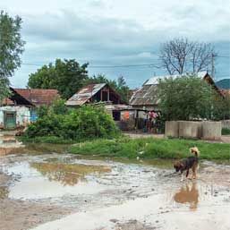 Programele de dezvoltare rurală, investiţii de aproape 3 mld. euro