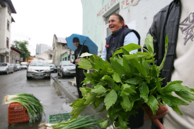 Se schimbă taxarea veniturilor agricole