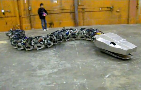 Un şarpe de coşmar: are o tonă, peste zece metri şi e din oţel | VIDEO