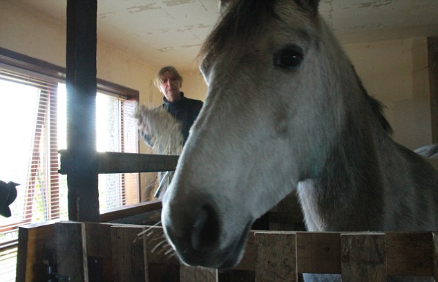 ANIMAL DE COMPANIE CIUDAT. O femeie găzduiește un cal în sufragerie