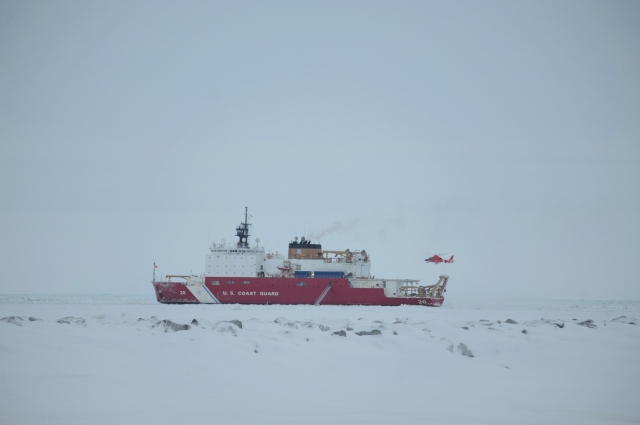 Danemarca, prima ţară care numeşte un ambasador pentru Arctica