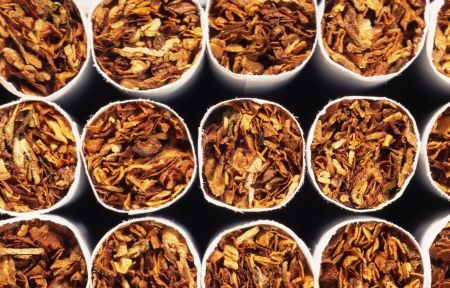 Fabrica Philip Morris din Otopeni va consuma mai puţină energie