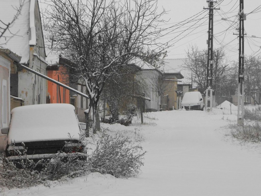 Prima zăpadă la Timișoara | FOTO