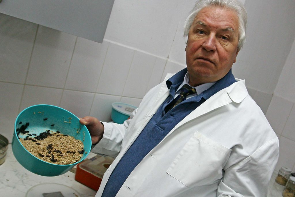 GREU DE CREZUT, DAR ADEVĂRAT. Un medic român tratează zeci de boli cu DOCTORII DIN INSECTE