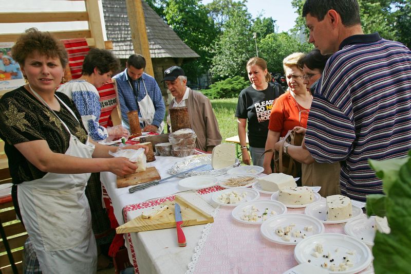 Misterul brânzei de Sibiu. Câți români pot hrăni 81.000 de oi?