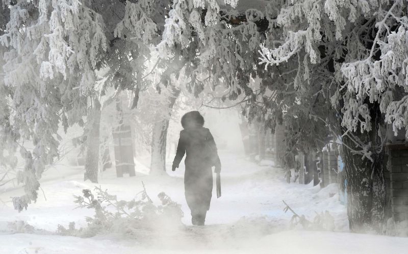 Oamenii pentru care -50º reprezintă normalitatea