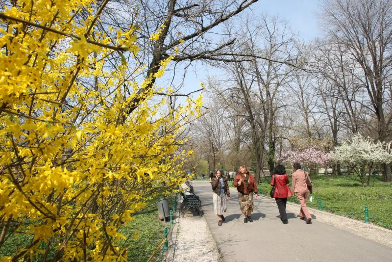 Zăpada de luna asta face ca primăvara să fie „mai rece”. VEZI cum va fi vremea în următoarele 3 luni