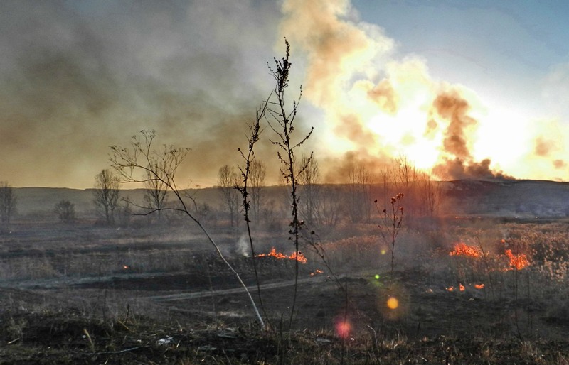 A reînceput calvarul miriştilor incendiate. Ce avantaj major urmăresc agricultorii prin crearea acestui haos