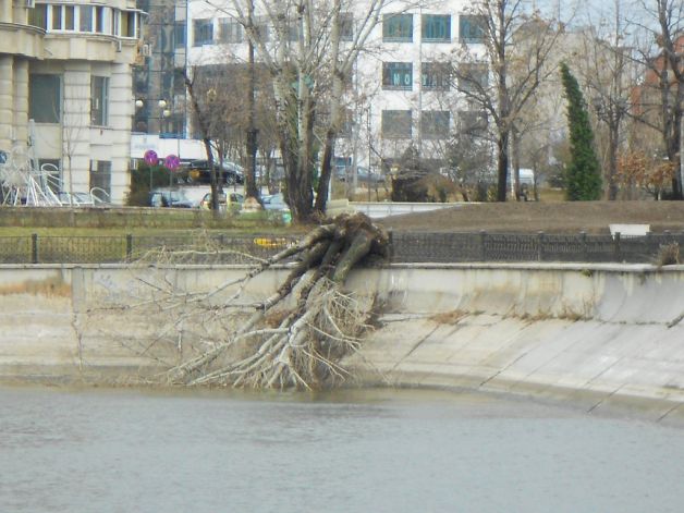 AVERTIZARE METEO. Vânt puternic în opt judeţe