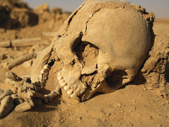 Craniu uman descoperit într-o mlaştină din judeţul Sibiu