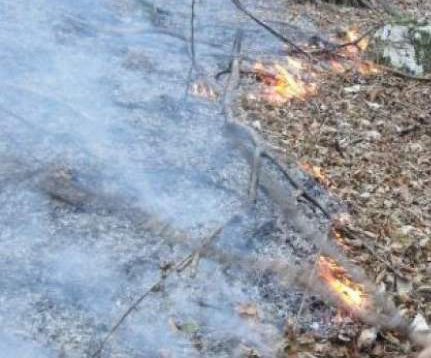 Hunedoara: Aproape 800 de incendii de vegetaţie şi doar 18 amenzi