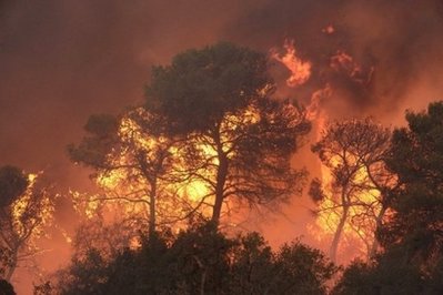 Incendii devastatoare în Spania