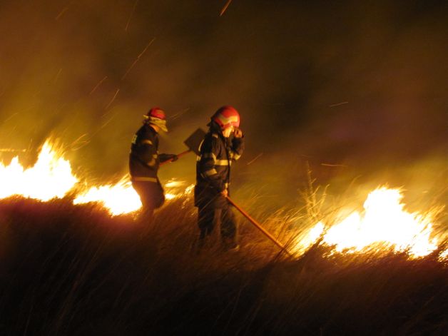 Incendiu în Rezervaţia Deltei Dunării