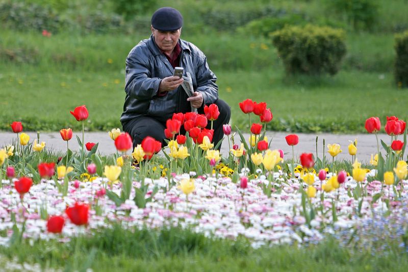 TOP CINCI alergii care fac viaţa un coşmar