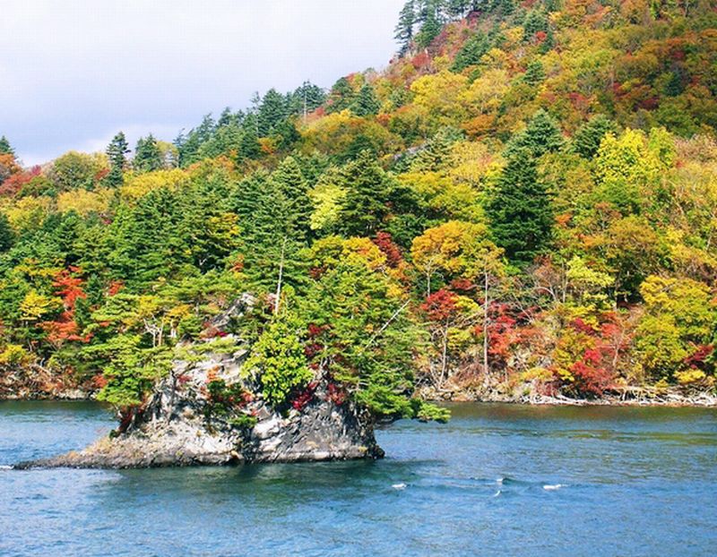 Două femei, ucise de urși, într-un parc din Japonia