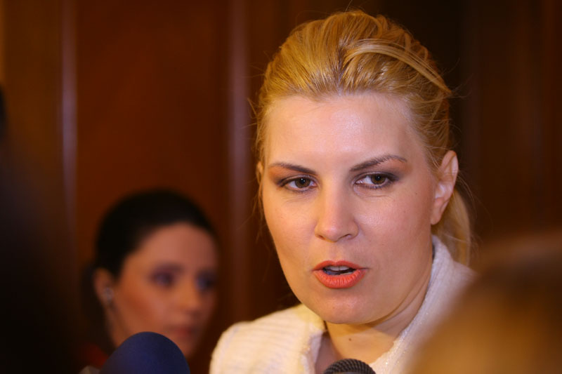 Elena Udrea: USL se dezintegrează la București