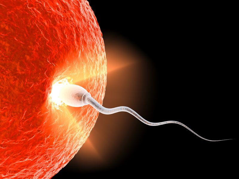 Legătura neașteptată dintre dușurile fierbinți și calitatea spermatozoizilor