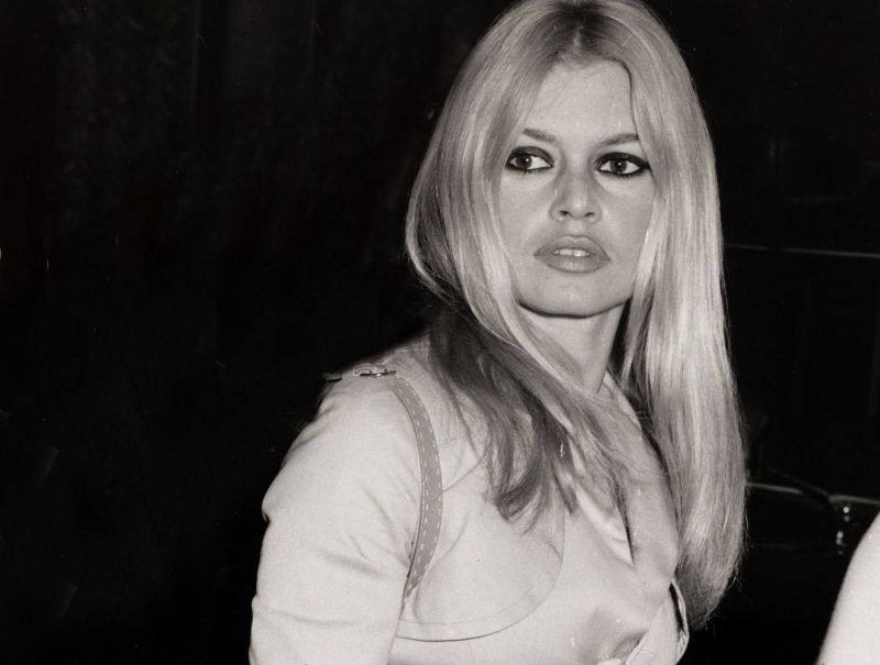 Brigitte Bardot, dispusă să facă închisoare în locul unui ecologist