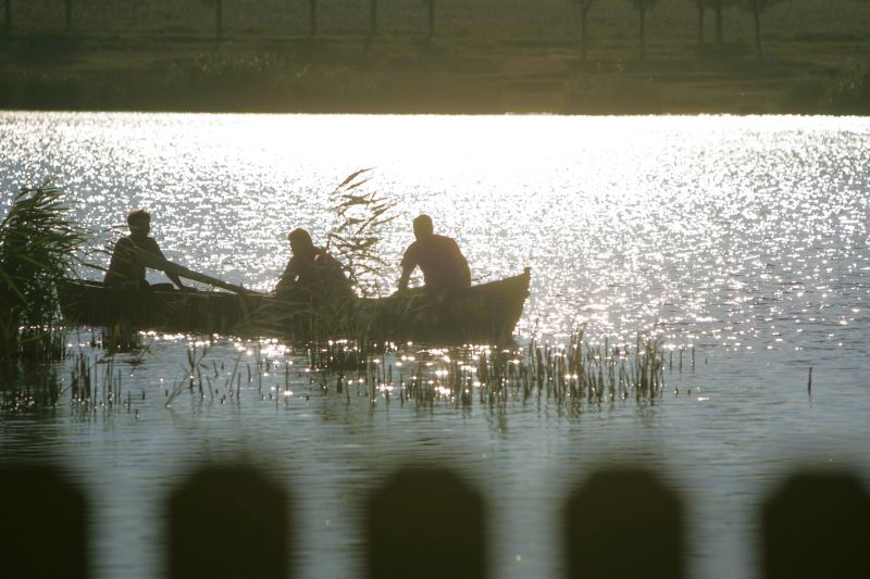 Cât te costă o minivacanţă în Delta Dunării