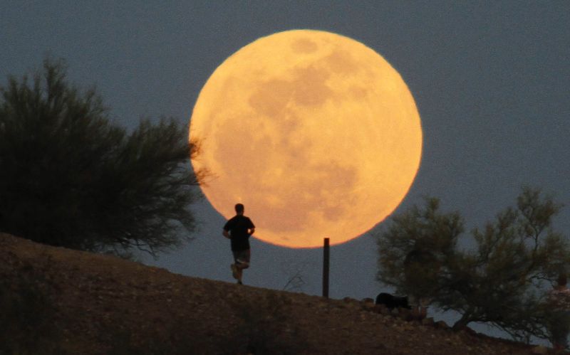 "Super Luna" a furat spectacolul ploii de meteoriţi anuale | FOTO din întreaga lume