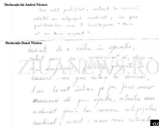 Declaraţia Danei Năstase. "Poliţiştii s-au ferit ca Năstase să nu-i muşte"