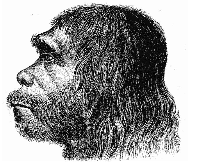 Ce a provocat DISPARIŢIA omului de Neanderthal