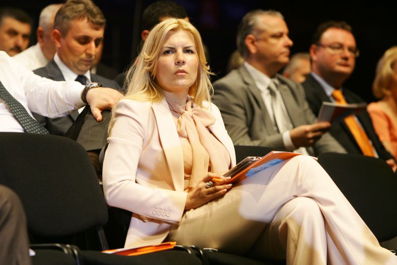 Elena Udrea: "De astăzi, PDL trebuie să intre în dispozitivul de luptă"