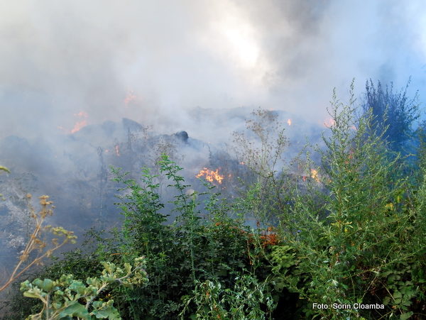 INCENDIU de vegetaţie în Bucegi, pe terenurile Casei Regale