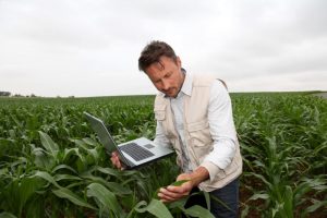 Statul oferă până la 2 milioane de lei pentru afaceri inovatoare. Cum pot aplica startup-urile