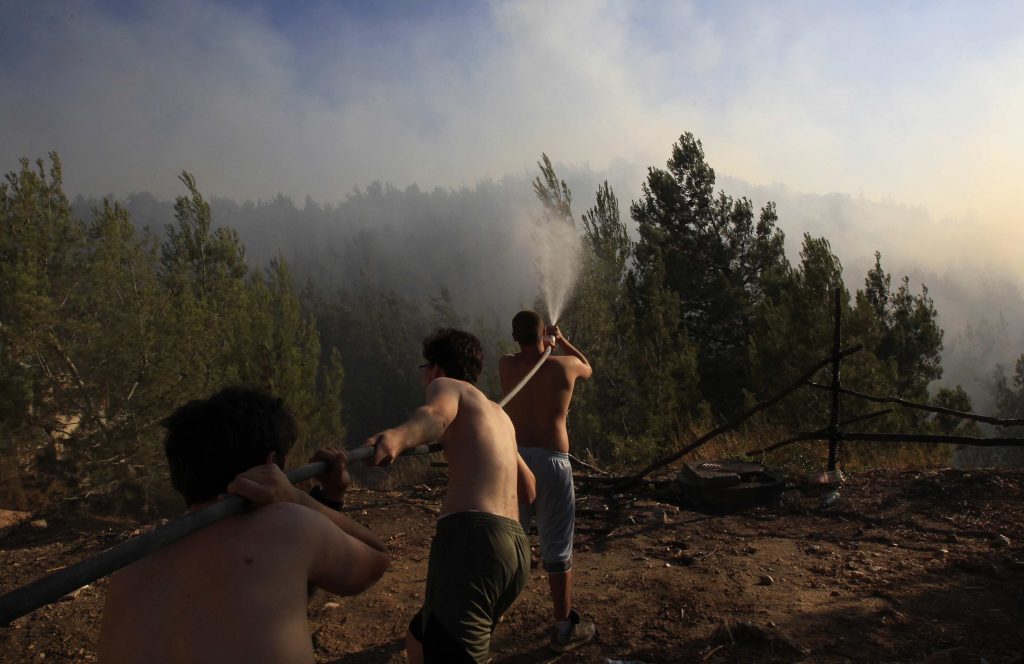 Zeci de hectare de pădure au ars în Harghita