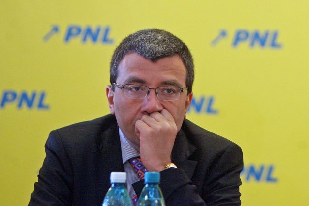 Ministrul Mihai Voicu a făcut bişniţă cu o vilă ANL