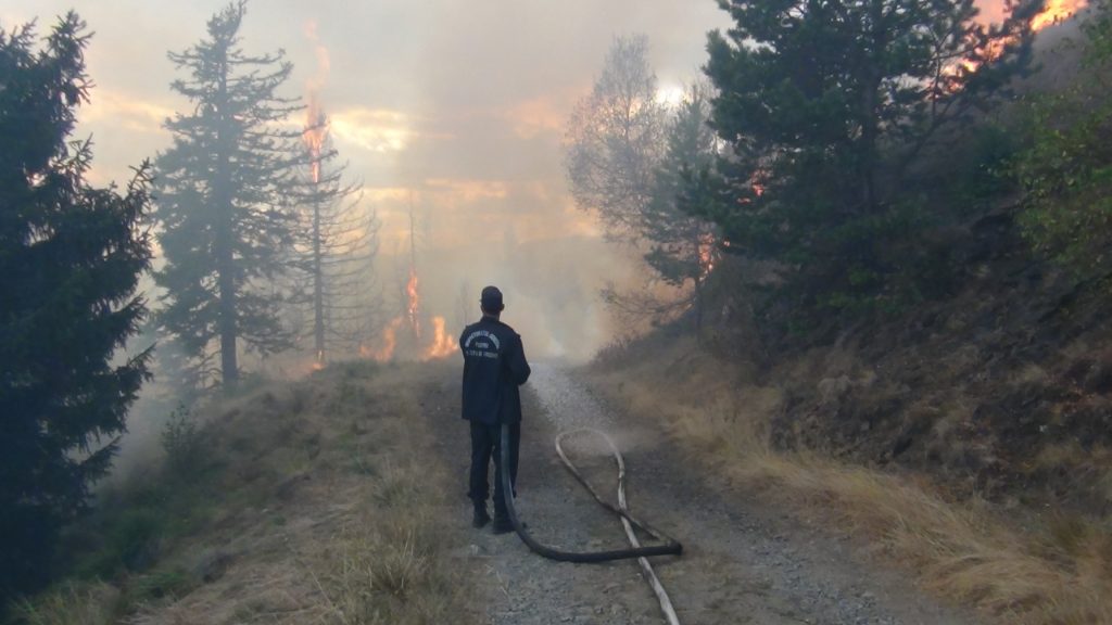 250 DE TONE DE APĂ pentru STINGEREA INCENDIULUI din Parcul Naţional Cozia