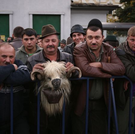 Agricultorii se pregătesc de proteste