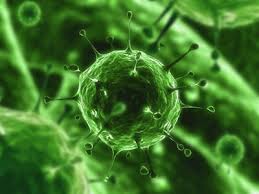 De ce ne este mai frică de Coronavirus decât de Gripa Porcină?