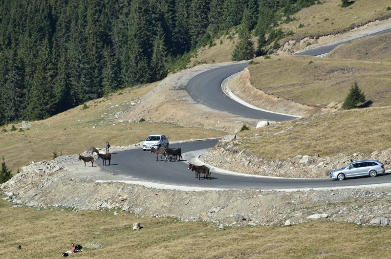 Circulaţia pe TRANSALPINA va fi închisă de MÂINE