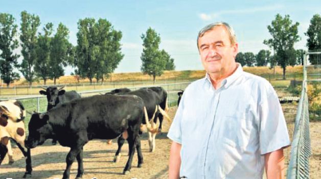 Cum a luat latifundiarul Poienaru milioane de euro "pe blat" cu ADS şi APIA